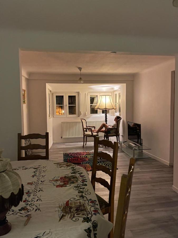 Au Bon Vieux Port Maison De Vacances Alsacienne A 10Mn De Ribeauville, Riquewihr Et Kaysersberg ซิลิสตาต์ ภายนอก รูปภาพ