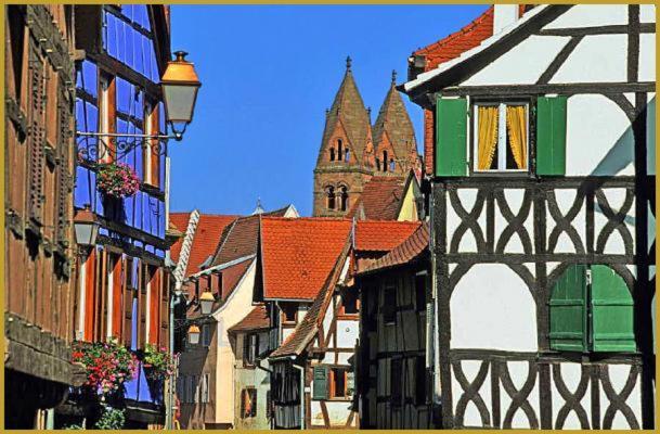 Au Bon Vieux Port Maison De Vacances Alsacienne A 10Mn De Ribeauville, Riquewihr Et Kaysersberg ซิลิสตาต์ ภายนอก รูปภาพ